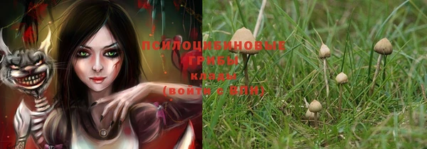 не бодяженный Алексин