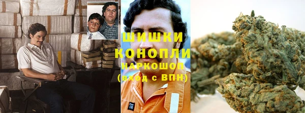 PSILOCYBIN Абинск