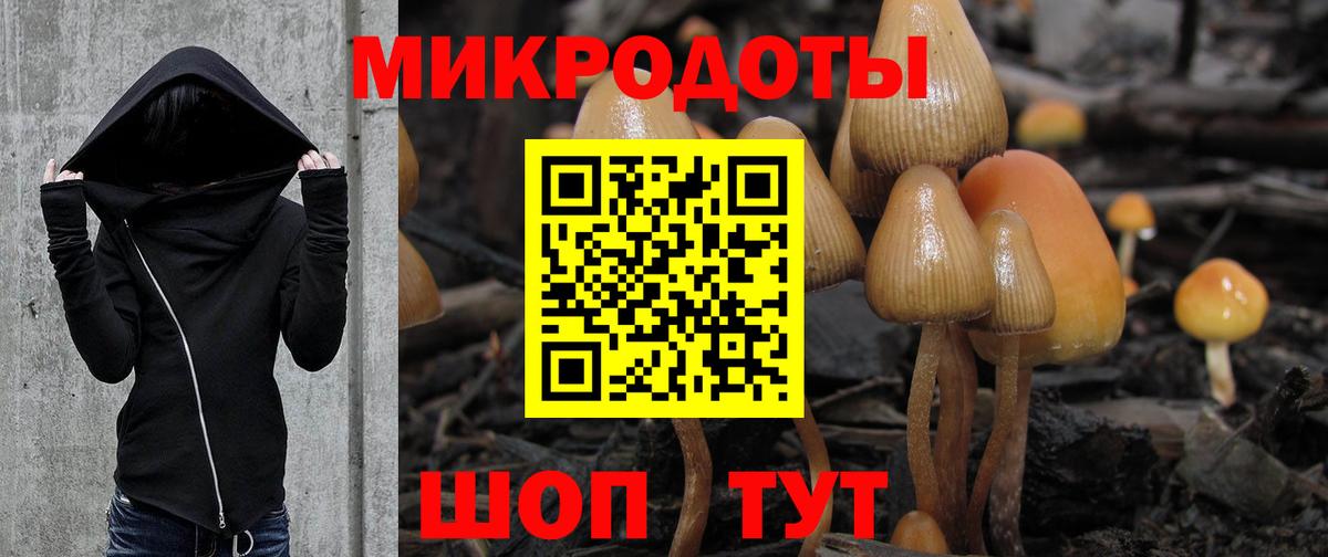 Кашира  Псилоцибиновые грибы мицелий  Вход с VPN 